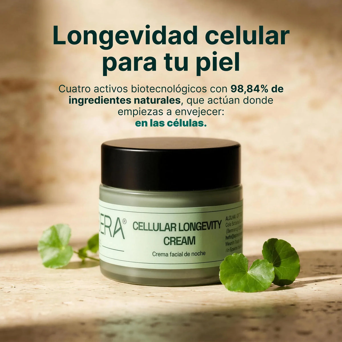 CREMA FACIAL