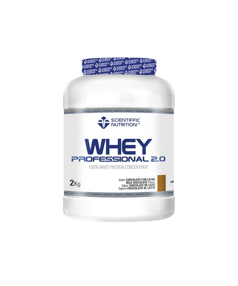 WHEY PROFESSIONAL 2.0