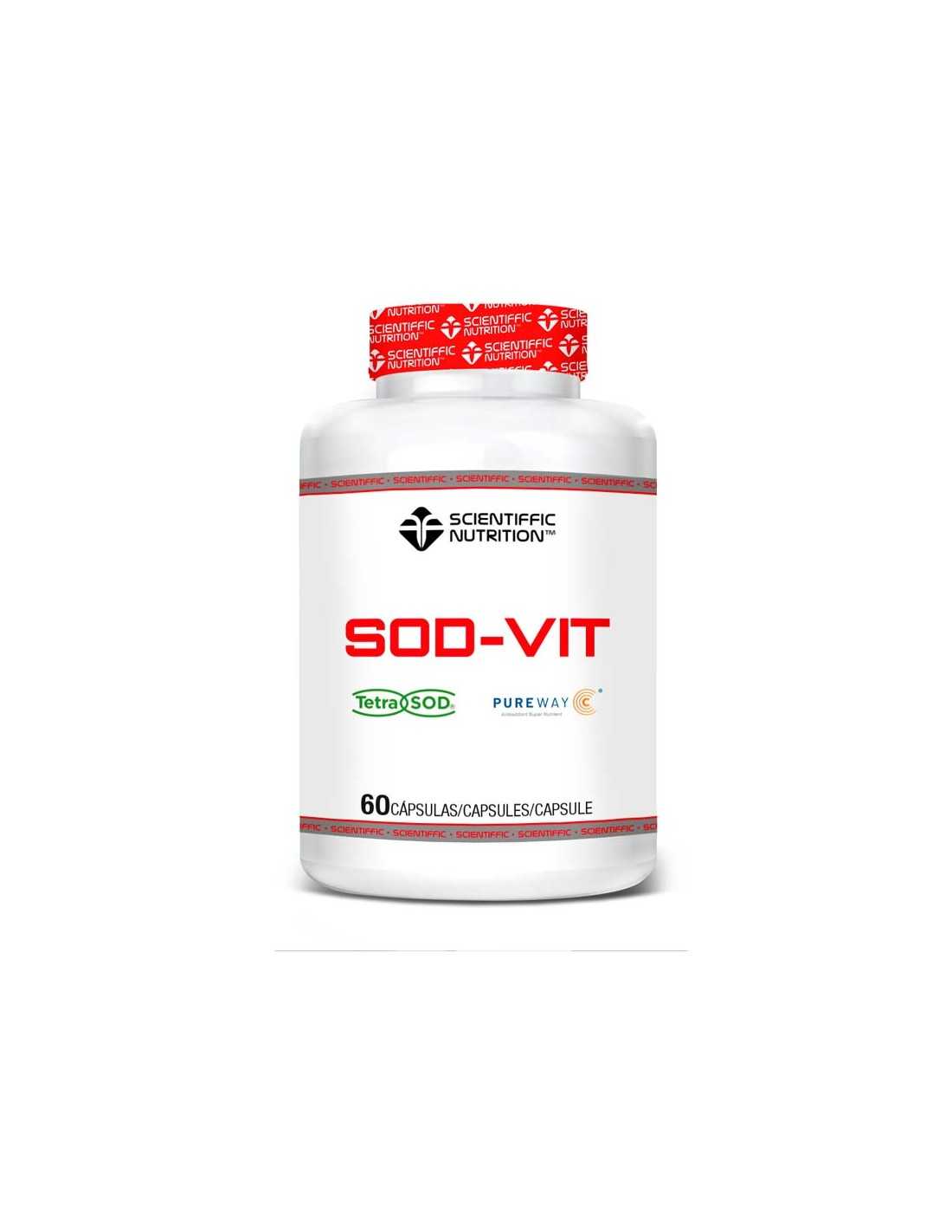 SOD-VIT